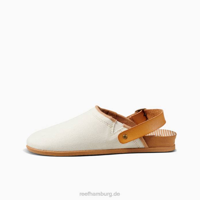 Riffkissensalbei Antiquität 442L233 Frauen