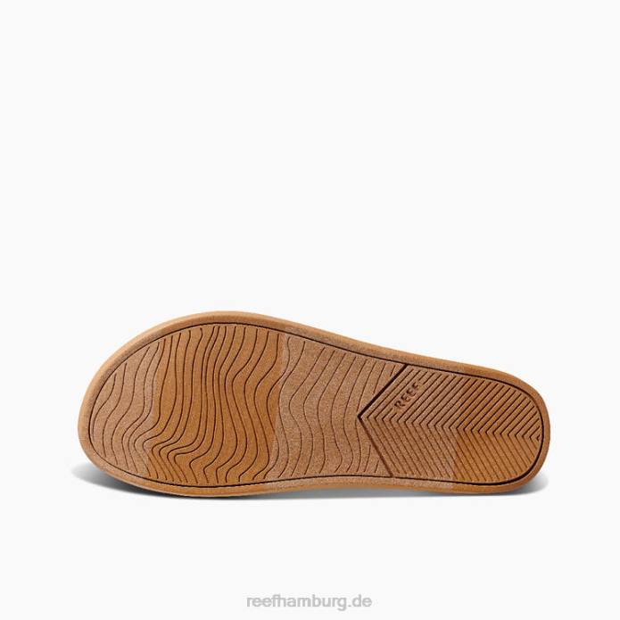 Riffkissensalbei Antiquität 442L233 Frauen