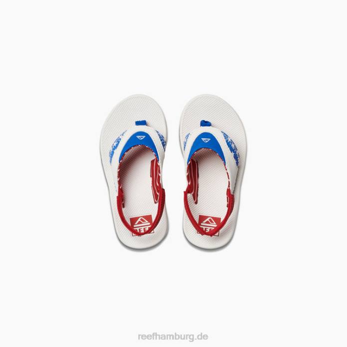 kleines Fächern 1776 442L826 Kinder Reef