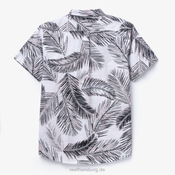 Daintree Kurzarmhemd Mäusespeck 442L636 Männer Reef