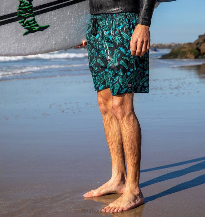 Everett Boardshorts 17