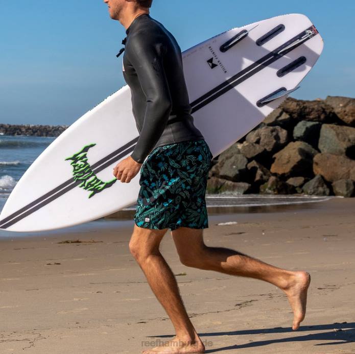 Everett Boardshorts 17