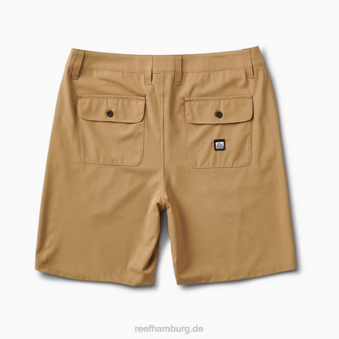 Medford Hybrid Walk Short 19