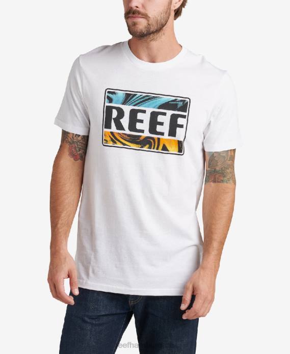 Bengalisches Kurzarm-T-Shirt Mäusespeck 442L617 Männer Reef