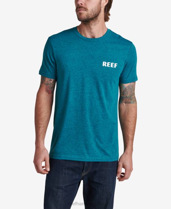 Unite Kurzarm-T-Shirt Cyan-schwarzes Heidekraut 442L575 Männer Reef