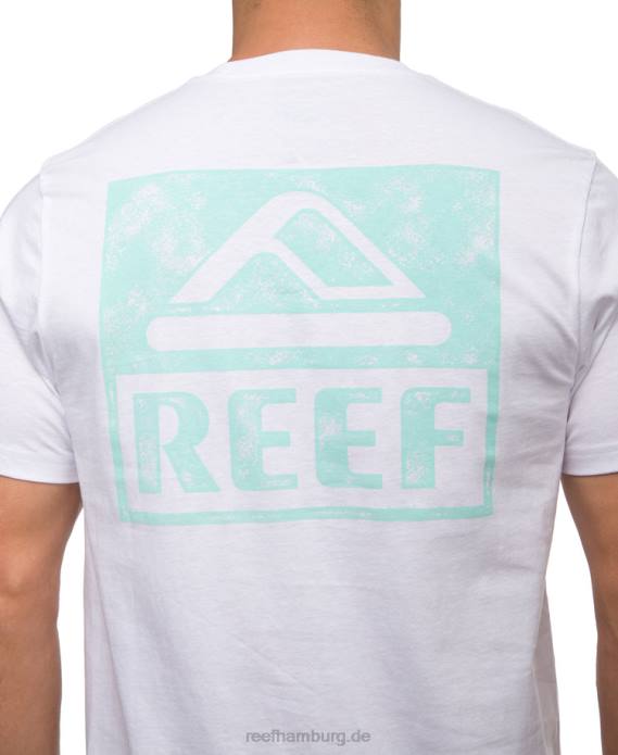 Wellie Kurzarm-T-Shirt helles Weiss 442L560 Männer Reef